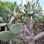 Prázdninový dům Mit Whirlpool By Interhome Playa Blanca (Lanzarote)
