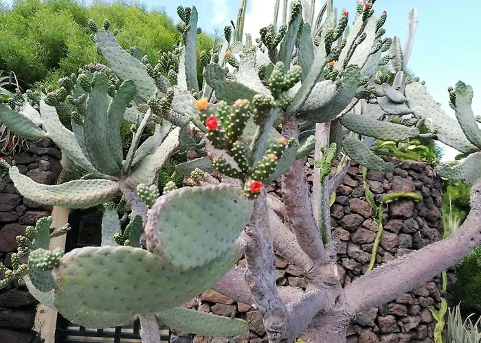 Hébergement de vacances Mit Whirlpool By Interhome Playa Blanca (Lanzarote)