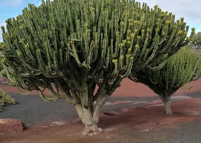 Hébergement de vacances Mit Whirlpool By Interhome