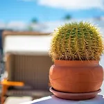 Mit Whirlpool By Interhome Casa de Férias Playa Blanca (Lanzarote)